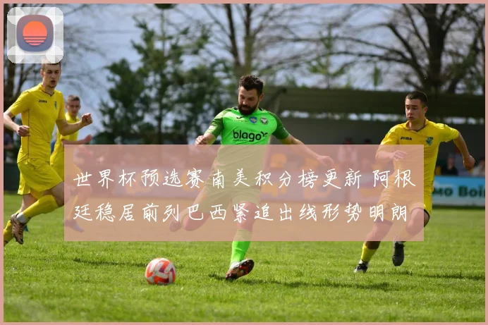 世界杯预选赛南美积分榜更新 阿根廷稳居前列巴西紧追出线形势明朗
