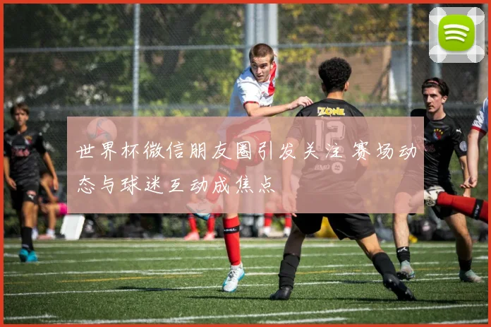 世界杯微信朋友圈引发关注 赛场动态与球迷互动成焦点